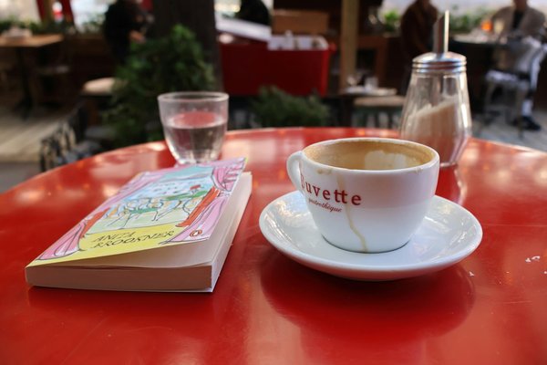 Señales de envejecimiento en gatos: Cómo identificarlas y cuidarlos adecuadamente