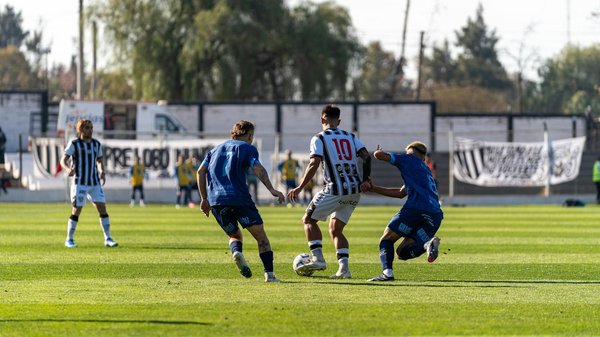 Explora cómo la fitoterapia puede aliviar los síntomas de la menopausia de manera natural